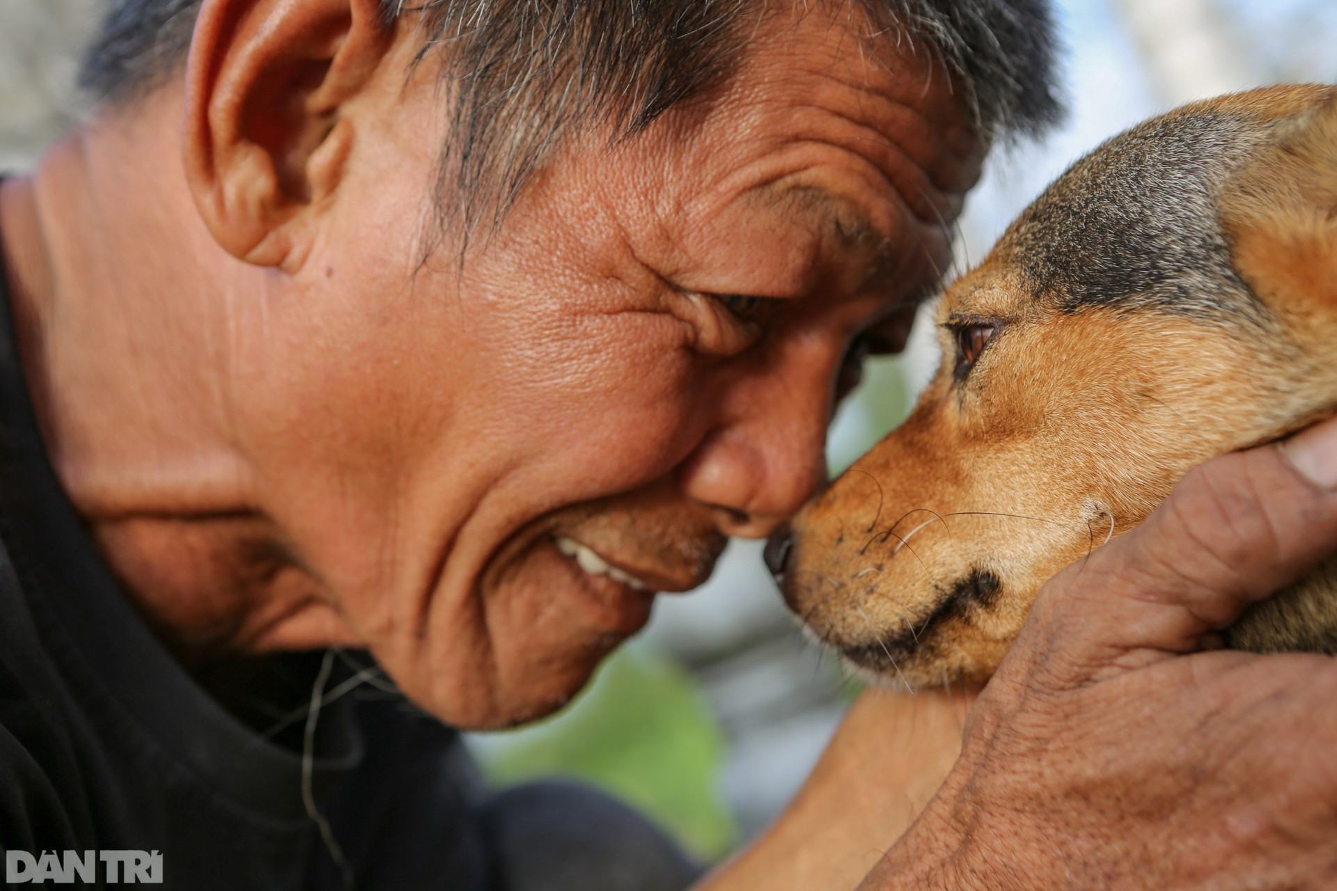 Người đàn ông vô gia cư chăm sóc bầy chó hơn 20 con ở TPHCM - 11