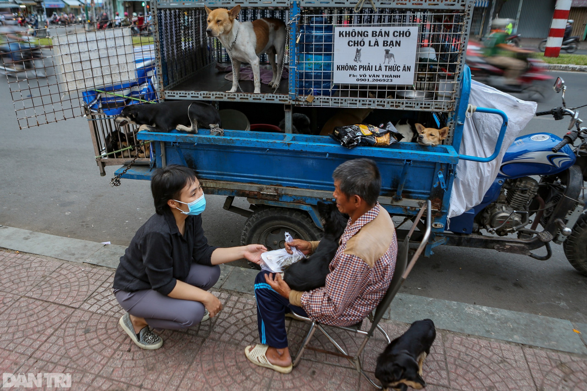 Người đàn ông vô gia cư chăm sóc bầy chó hơn 20 con ở TPHCM - 4