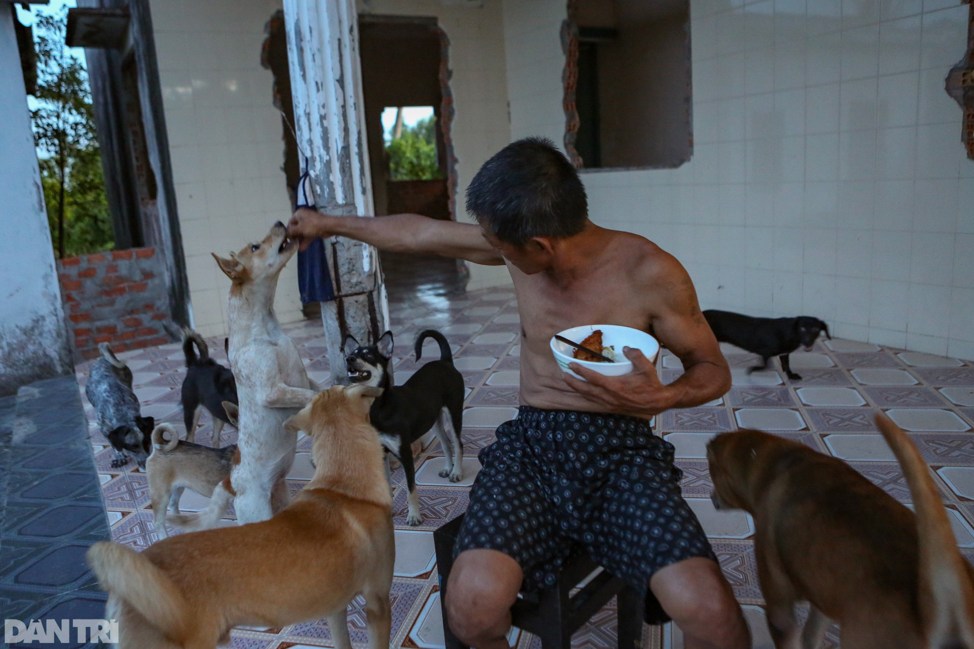 Người đàn ông vô gia cư chăm sóc bầy chó hơn 20 con ở TPHCM - 13