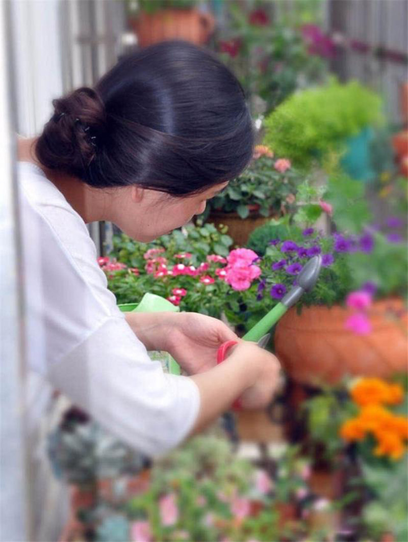 Khu vườn hoa nhỏ đẹp mơ màng nhờ tận dụng 2,4m² ban công để trống của mẹ đảm khiến ai nhìn cũng muốn làm theo - Ảnh 1.