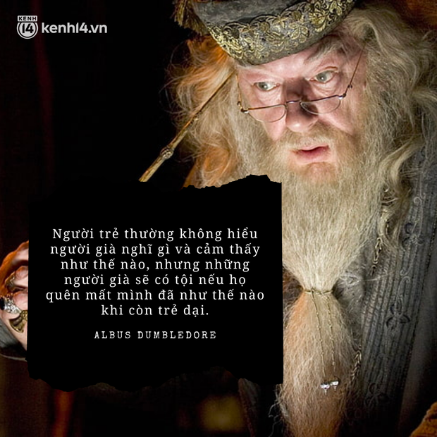 Những câu thoại Harry Potter đắt giá nhất, sau hàng chục năm vẫn mang ý nghĩa phi thường: Đọc lại mà thấy cả tuổi thơ ùa về! - Ảnh 3.
