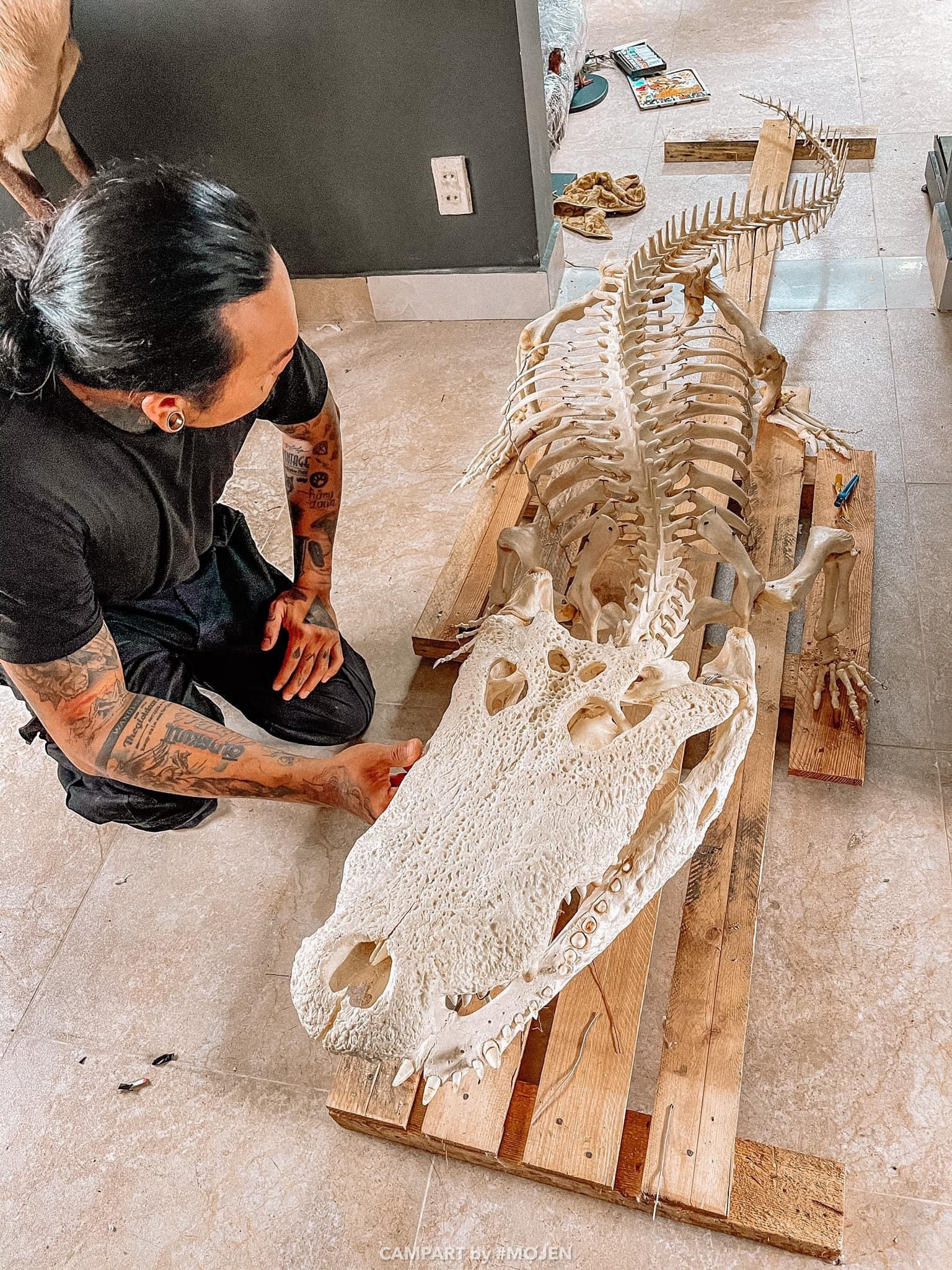 Dị nhân ở TPHCM sưu tập 200 bộ xương động vật để... trang trí nhà - 7