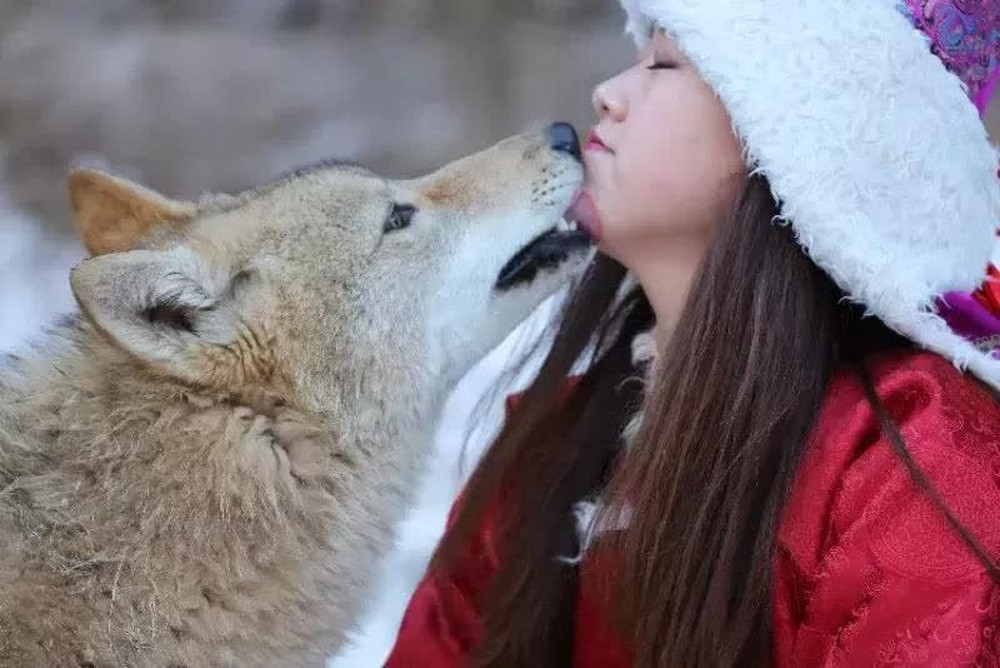 Vô tình cứu sói mẹ mang thai, 1 năm sau, thái độ của bầy sói khiến cô gái bất ngờ - Ảnh 3.
