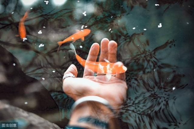  Cổ nhân nói Nước trong quá thì không cá, vế sau mới thực sự cốt yếu nhưng ít người biết - Ảnh 2.