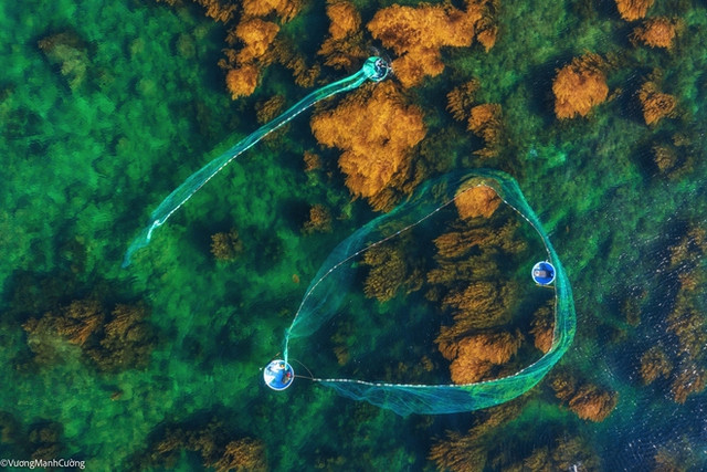 Hình ảnh ngư dân tung lưới đánh cá đầy ảo diệu ở Bình Định khiến ai cũng trầm trồ về cảnh sắc Việt Nam - Ảnh 10.