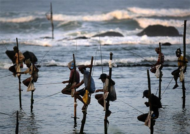Cận cảnh nghề “đu cột câu cá” độc nhất vô nhị ở quốc gia 22 triệu dân vừa vỡ nợ - Ảnh 3.