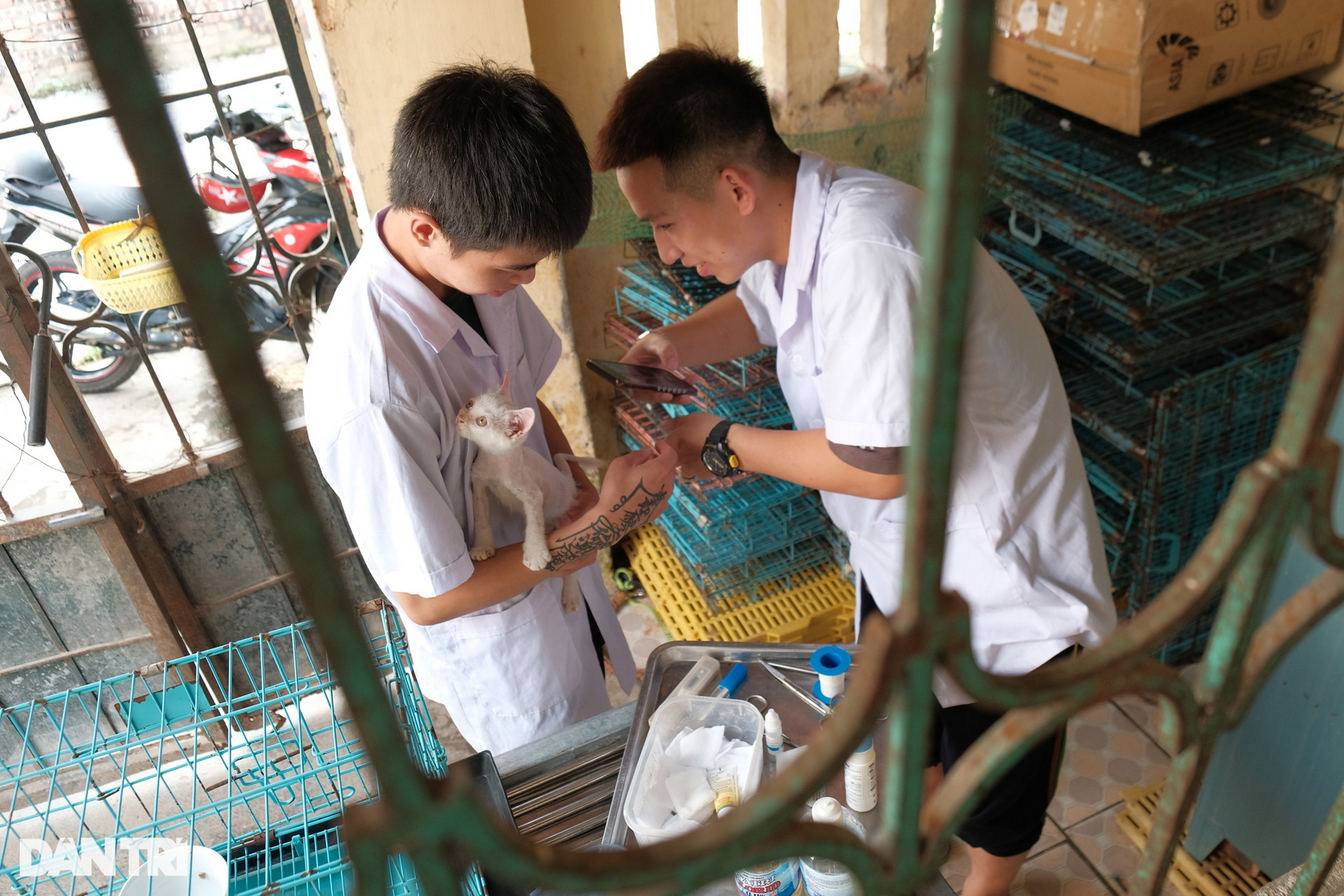 Biệt đội cứu hộ chó mèo đặc biệt ở Hà Nội - 9