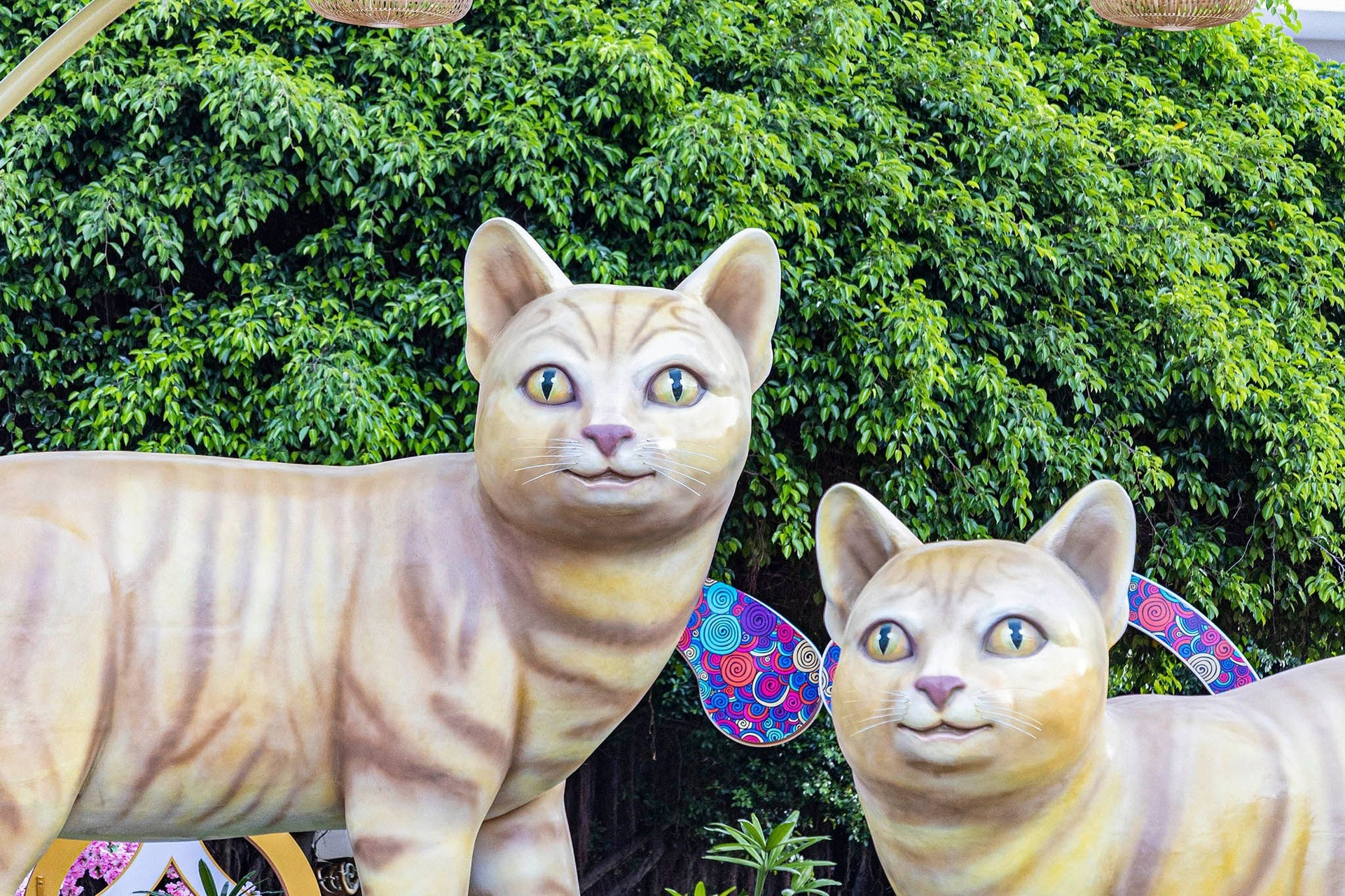 Muôn sắc thái hài hước của dàn linh vật mèo Tết Quý Mão khắp Việt Nam - 3