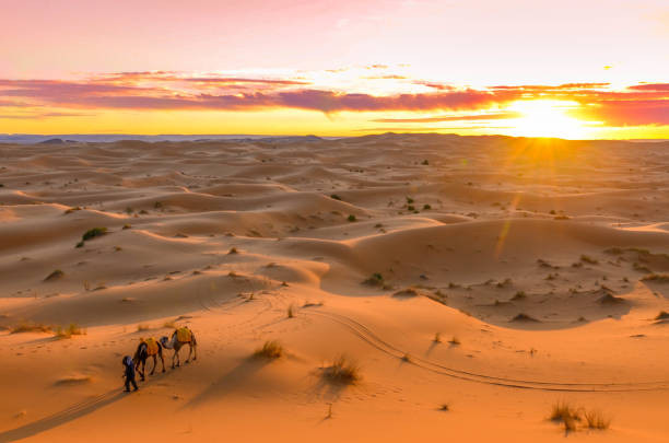 10 sự thật thú vị về sa mạc Sahara - Ảnh 1.