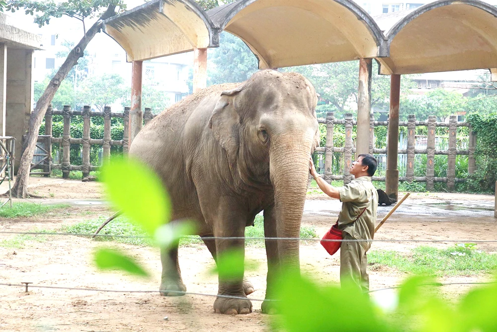 Thảo Cầm Viên đông nghịt ngày cuối tuần vì biến thành “trung tâm tiệc tùng”, mời cả nghìn người tham gia- Ảnh 12.