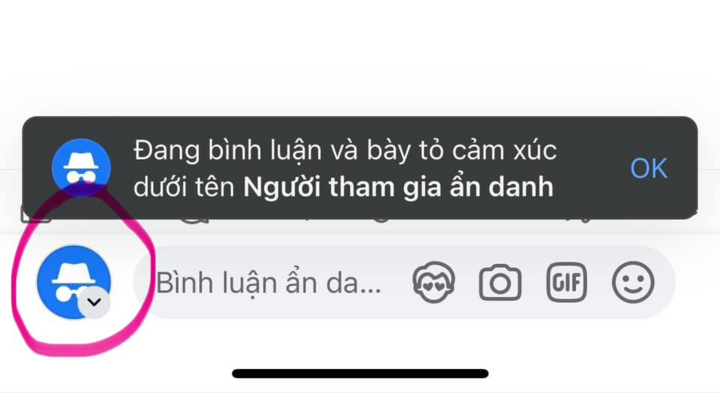 Cách bật tính năng comment ẩn danh trên Facebook- Ảnh 2.