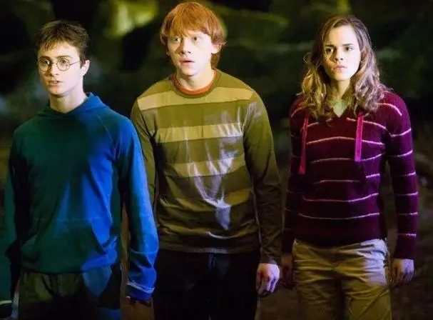 Xem lại Harry Potter sau gần 20 năm: Hóa ra trang phục của các nhân vật cũng cài cắm nhiều ẩn ý, trước đây chưa từng nhận ra- Ảnh 2.