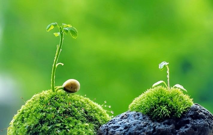 Nằm lòng 10 điều, năm 2025 chắc chắn dễ dàng hơn với bạn: Hợp tác với đối thủ mạnh cần chuẩn bị sẵn cho mình đường lui!- Ảnh 3.