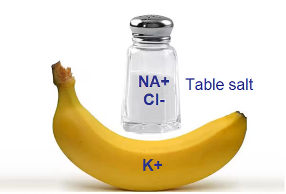 Kỹ thuật ghi nhớ giúp não cất giữ nhiều thông tin hơn - 1