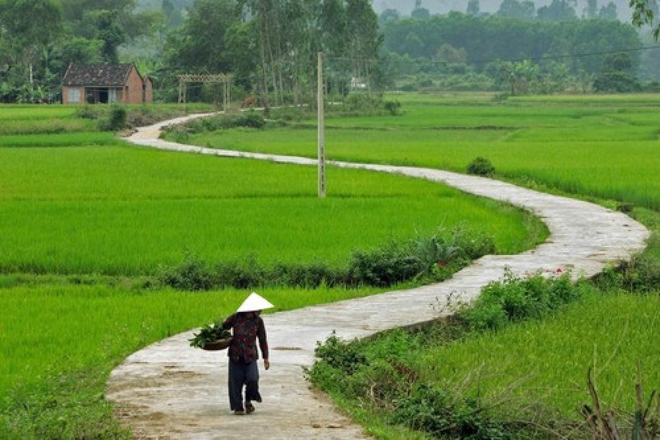 Tiếng Việt gọi tên nỗi lòng bằng một từ mà tiếng Anh chẳng thể đuổi kịp: Da diết như lời ru, sâu lắng hơn ký ức- Ảnh 1.
