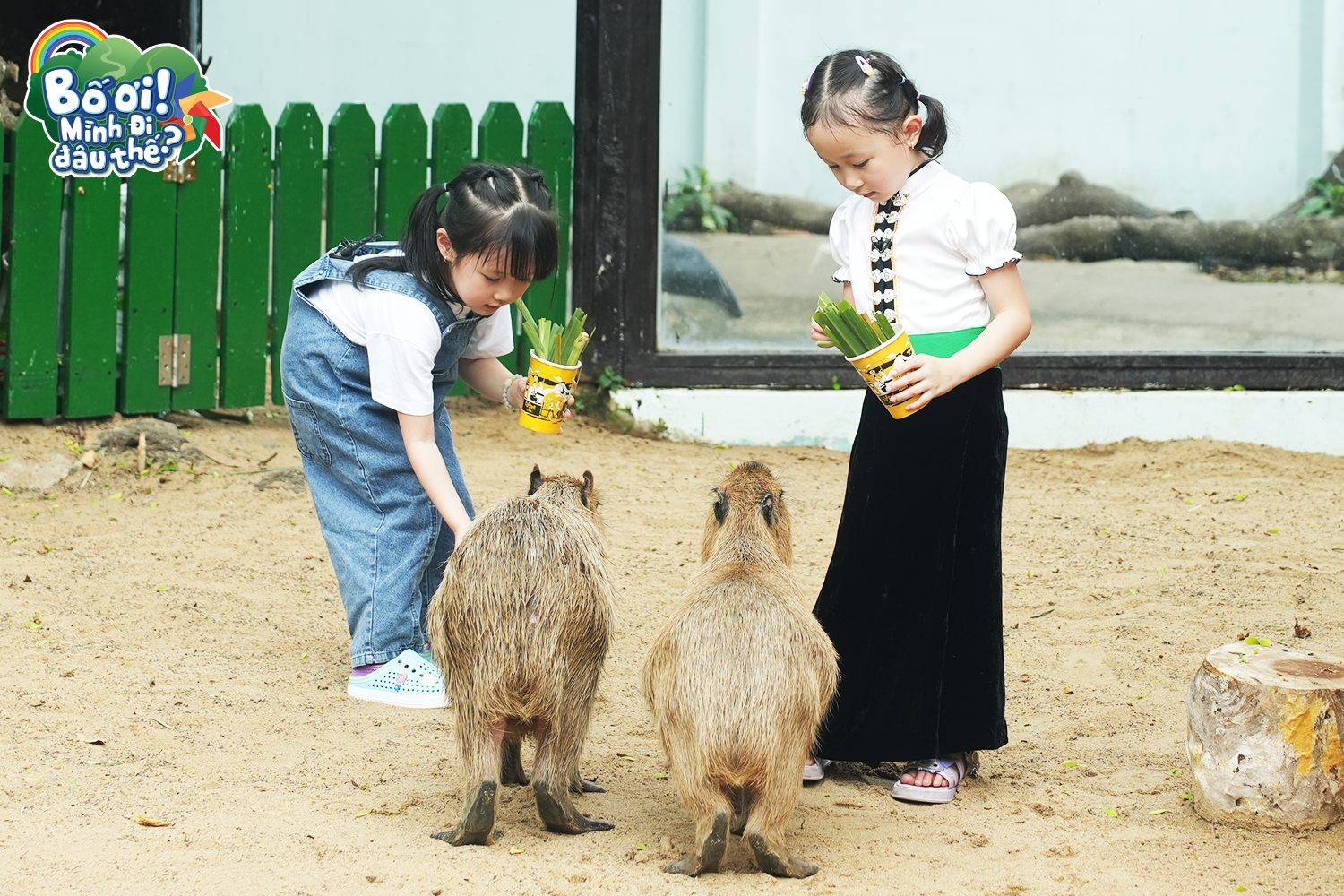 be-bao-ngu-va-be-vy-tram-cho-capybara-an.png