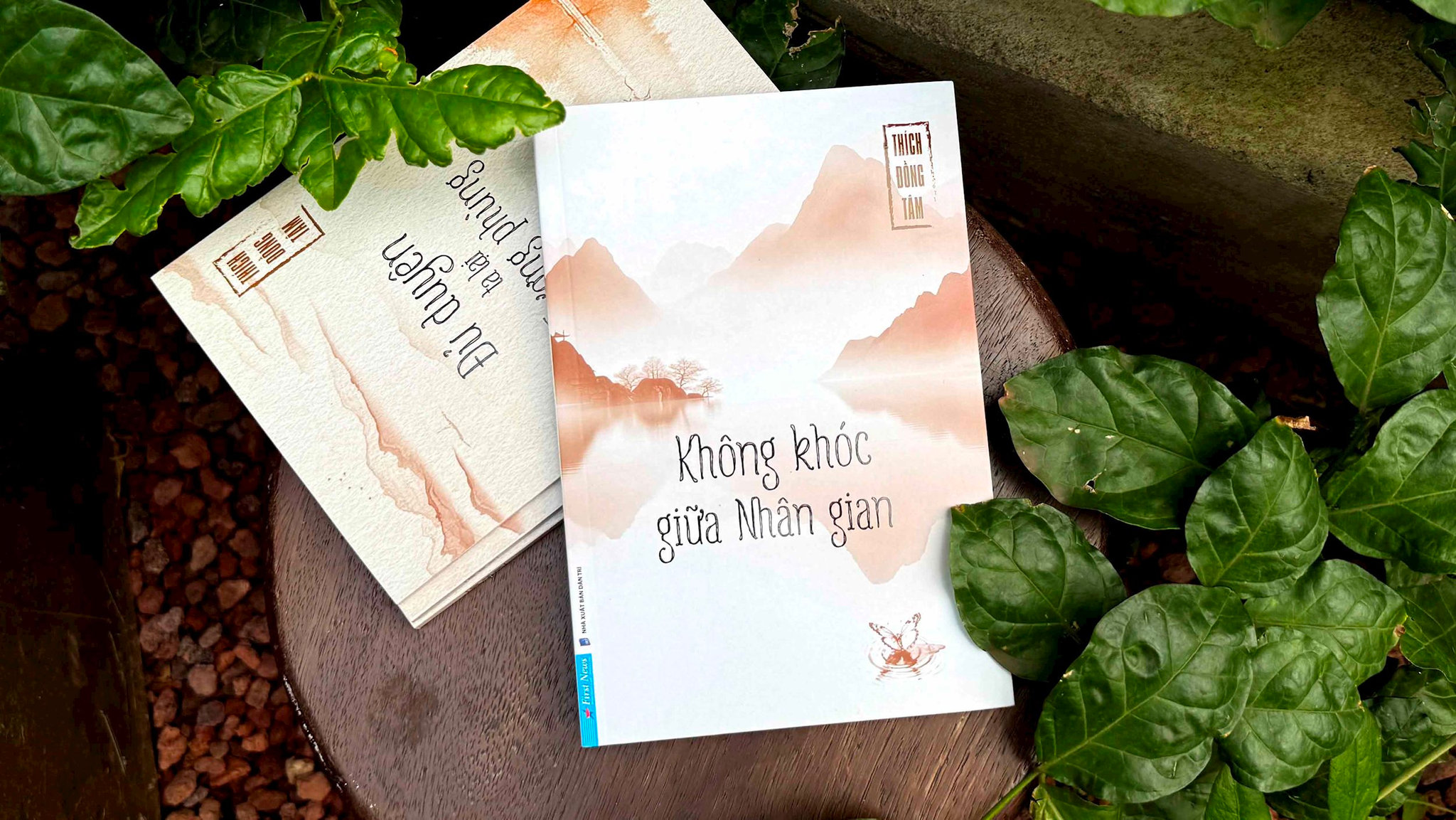 Không khóc giữa nhân gian: Gặp lại chính mình trong vô lượng khổ đau