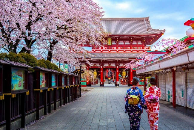 Khám phá nước Nhật - Bài 3: Khi hoa đào là biểu tượng của Samurai