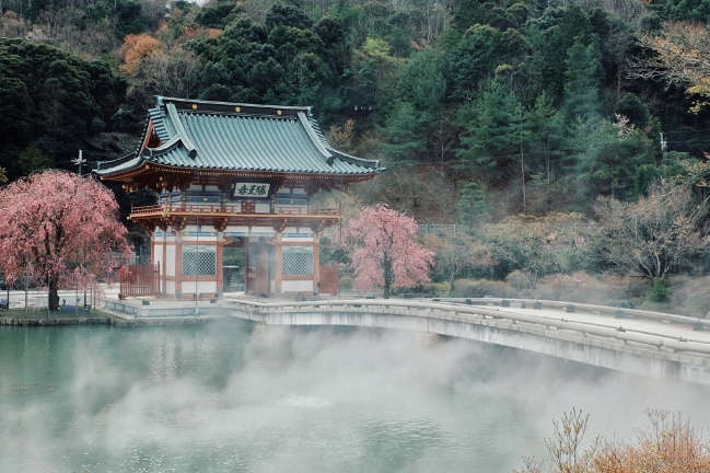 Đến ngôi chùa chứa hàng nghìn búp bê Daruma ở Nhật Bản