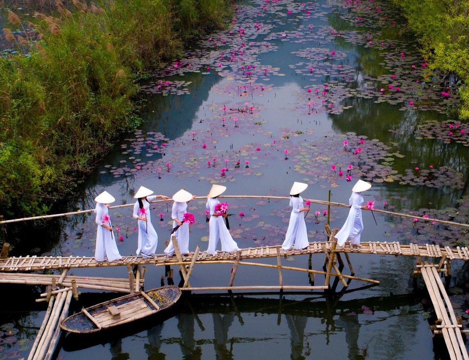 Khoảnh khắc đẹp nhất mùa xuân năm 2020 gọi tên nhiếp ảnh gia Việt Nam