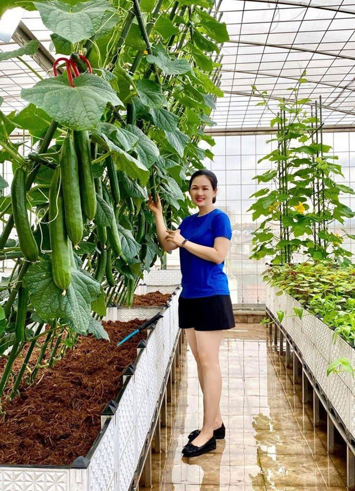 Sở hữu khu vườn quanh năm trĩu quả trên sân thượng, ‘hot girl’ Lào Cai chia sẻ kinh nghiệm trồng cây