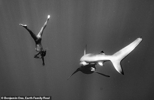 Người mẫu 'liều mình' khỏa thân bơi bên cá mập