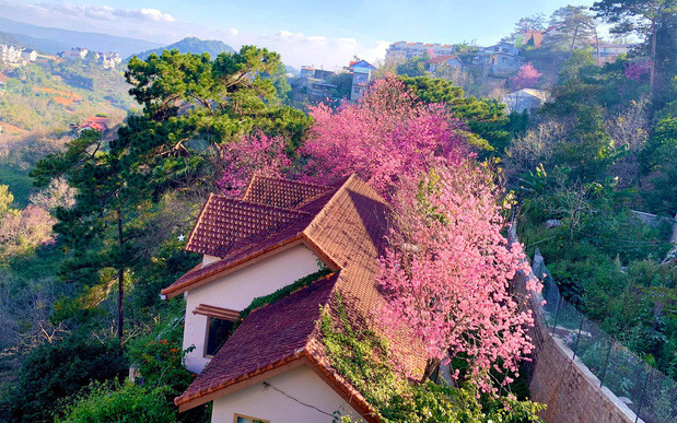 Rời Sài Gòn, cặp vợ chồng lên Đà Lạt xây ngôi nhà đẹp như cổ tích