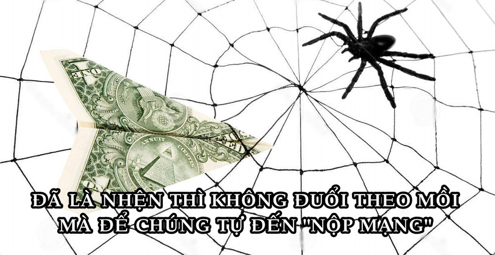 Bài học làm giàu đơn giản từ một con nhện, ai cũng nên đọc