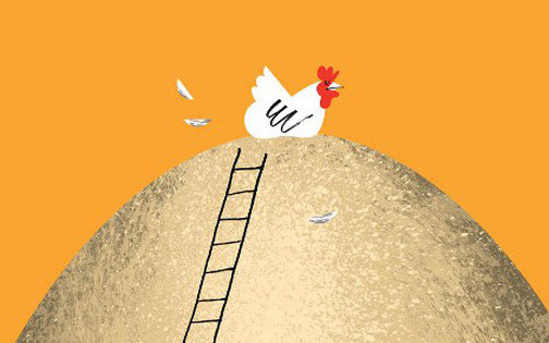 Đẻ trứng thì còn sống, không đẻ thì vào nồi: Giá trị thâm thúy học từ đàn gà mái