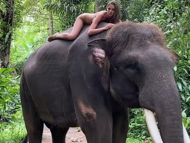 Chụp ảnh khỏa thân trên lưng voi, cô gái bị cộng đồng mạng chỉ trích