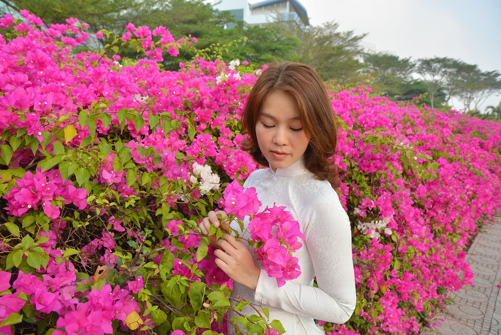 Giới trẻ tha hồ sống ảo bên tường hoa giấy cực đẹp ở Sài Gòn