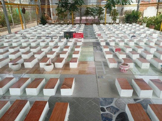 Sóc Trăng: Khu mộ thiện nguyện chôn gần 500 thai nhi bị chối bỏ