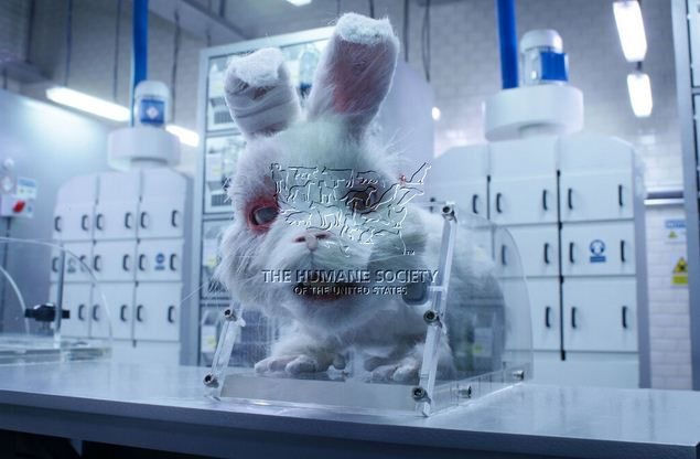 H’Hen Niê và Diễm My 9x tham gia phim Save Ralph, kêu gọi chấm dứt thử nghiệm mỹ phẩm trên động vật