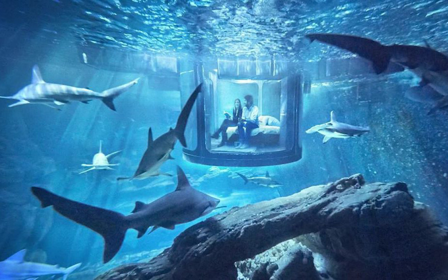 Shark Tank nổi tiếng về khởi nghiệp bị “tố” thiếu tôn trọng startup: Yêu cầu founder diễn 'lột áo' để câu view