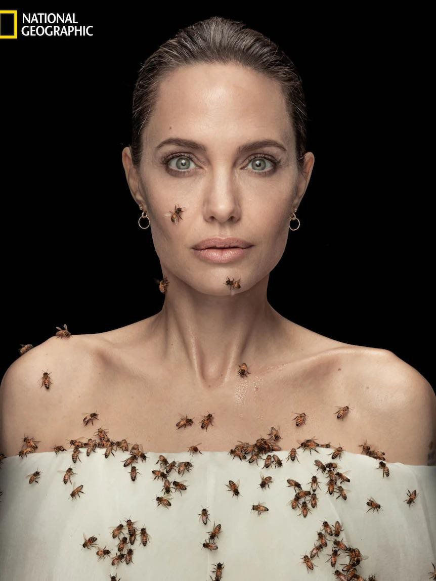 Angelina Jolie trong bộ ảnh bị ong bâu kín người, kêu gọi bảo tồn loài ong bản địa