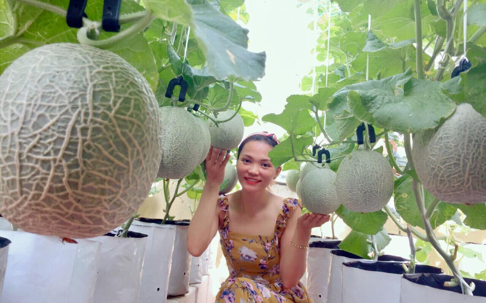 Ghé thăm sân thượng thu hoạch cả tạ dưa đủ loại của người phụ nữ ở quận 6, Sài Gòn