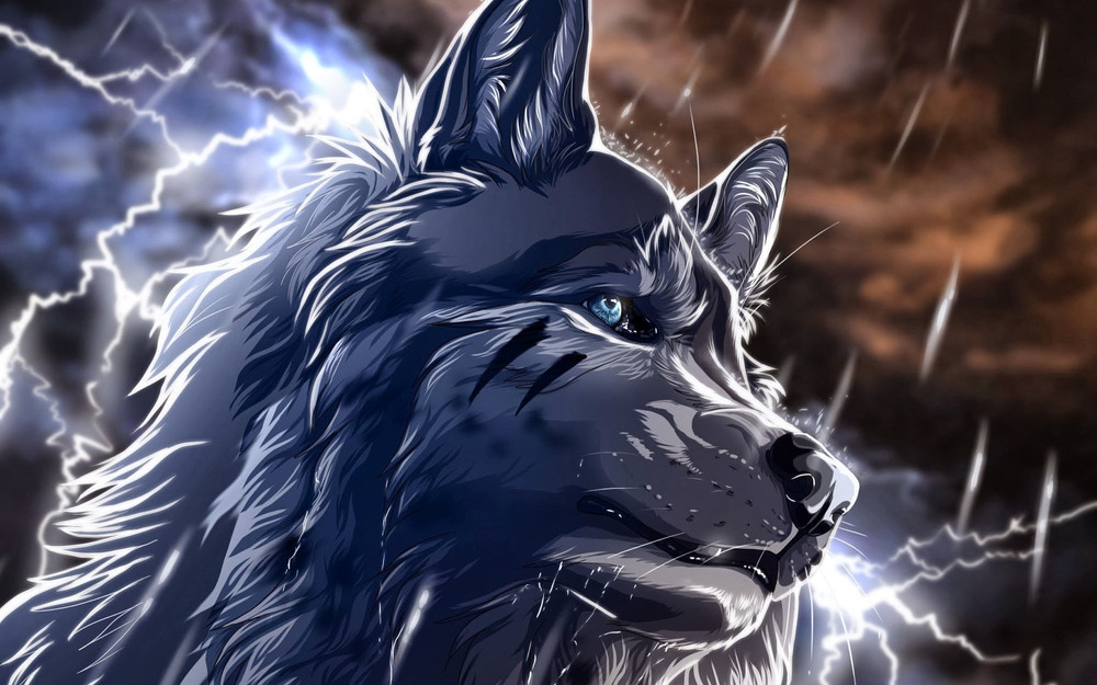 6 bản tính khôn ngoan của loài sói mà người thành công luôn lẳng lặng giấu kín!