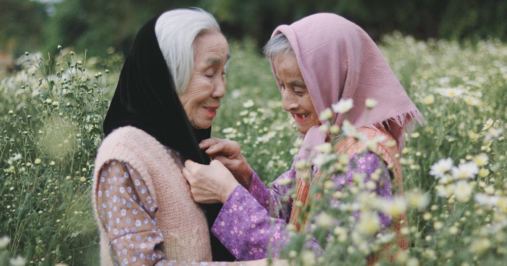 Bộ ảnh 'tình bạn già' trong vườn hoa cúc họa mi gây sốt mạng xã hội