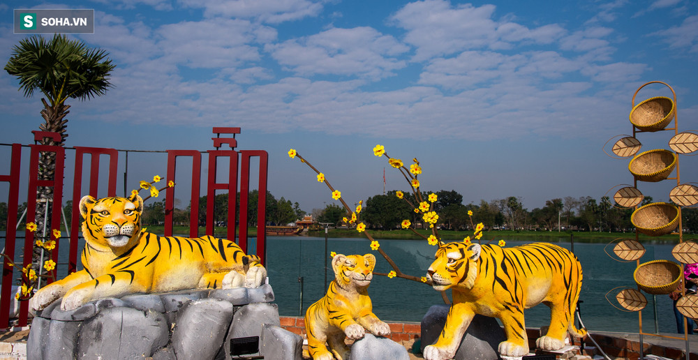 Khác hẳn hổ thảm hoạ, tượng hổ ở Huế có gì khiến người dân tự hào đẹp nhất Việt Nam?