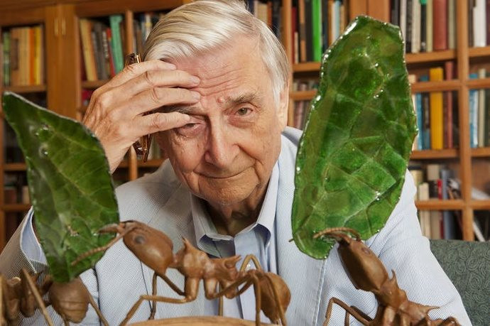 Vĩnh biệt Edward Wilson: Đời tôi giữa những đàn kiến