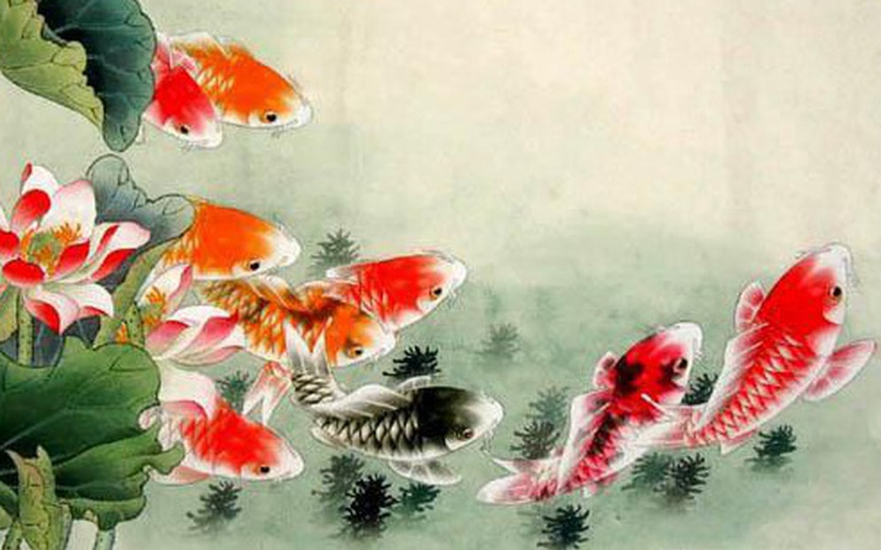 Cổ nhân nói 'Nước trong quá thì không cá', vế sau mới quan trọng nhưng ít người biết