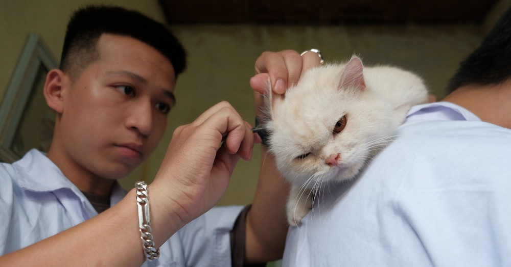 'Biệt đội' cứu hộ chó mèo đặc biệt ở Hà Nội