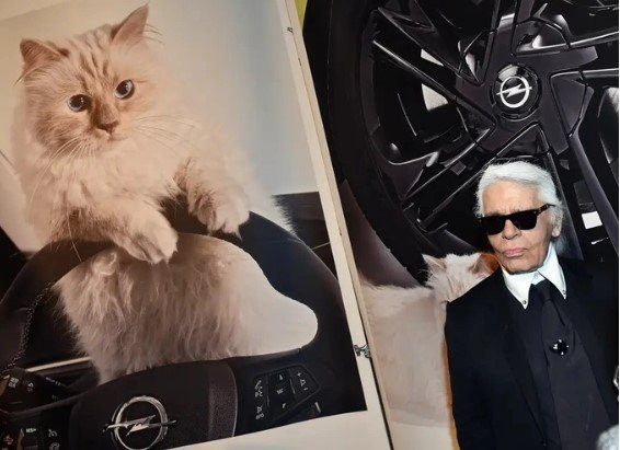 Chuyện về Choupette, ‘nàng thơ’ mèo của NTK Karl Lagerfeld quá cố