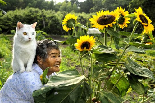 Năm Mão, cùng nhìn lại bộ ảnh về bà lão và chú mèo Fukumaru nổi tiếng Nhật Bản
