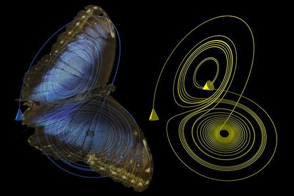 Hiệu ứng cánh bướm: Vẻ đẹp hỗn loạn từ khoa học bước vào nghệ thuật