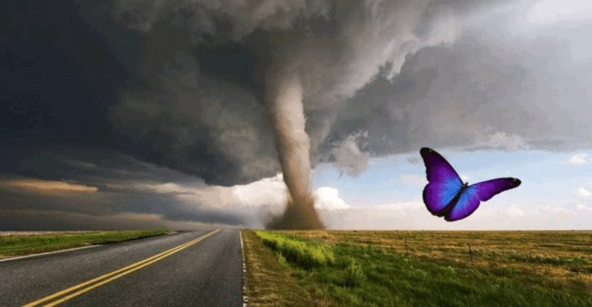 Hiệu ứng cánh bướm - Một con bướm vỗ cánh có thể gây ra cơn bão như lời đồn hay không?
