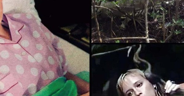 Juliane Koepcke, cô gái sống sót trong rừng Amazon sau vụ tai nạn máy bay từ độ cao 3.000 mét?