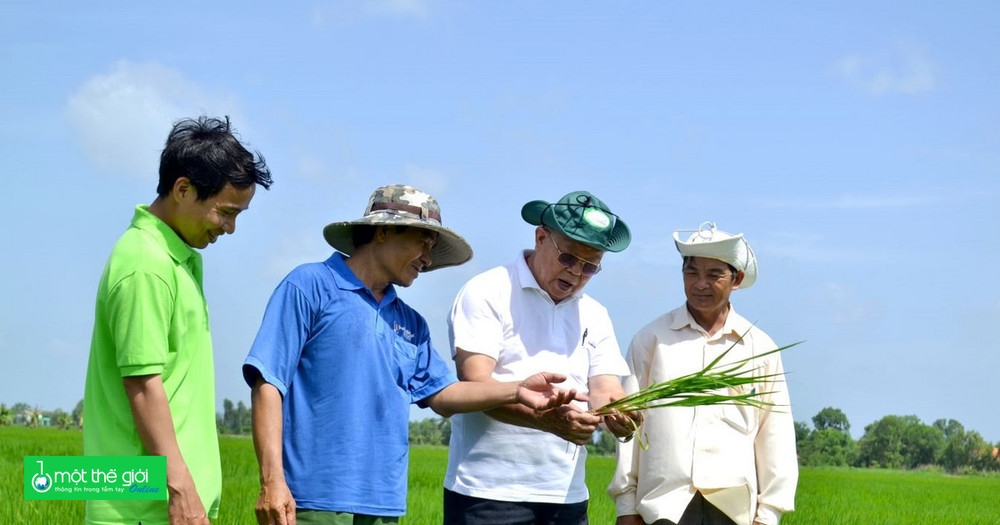 Những đóng góp lớn lao của GS-TS Võ Tòng Xuân cho nông nghiệp Việt Nam