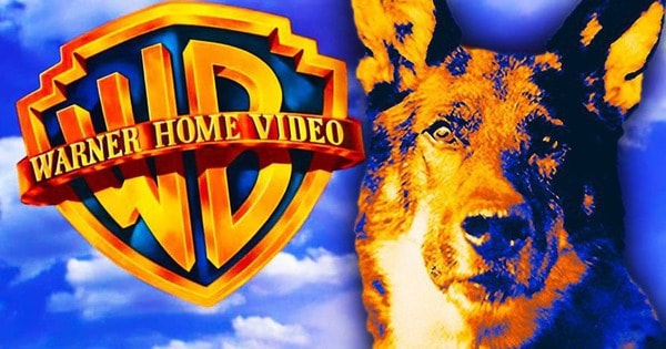 Warner Bros. từng thoát khỏi cảnh phá sản nhờ một chú chó