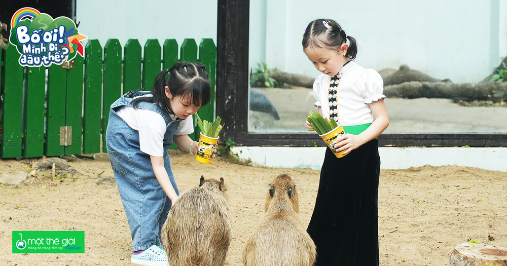 'Bố ơi, mình đi đâu thế?' trở lại: Nhiều khoảnh khắc 'đốn tim' khán giả